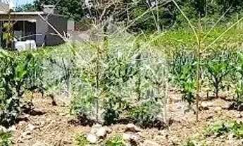 Imagem: Terreno com 390 m² no loteamento Recanto