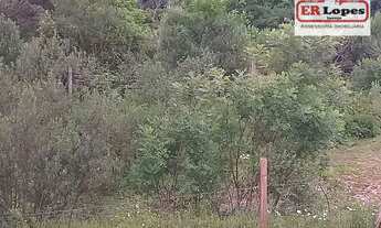 Imagem 2: Área à venda, 35733 m² por R$ 790.000,00 - Centro - Quitandinha/PR