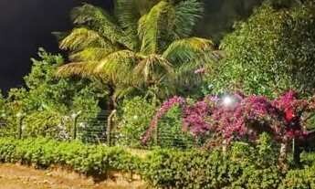 Imagem 5: SITIO A 18KM DE FEIRA DE SANTANA