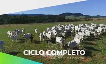 Imagem 4: Imóvel para venda possui 119420000 metros quadrados em Área Rural de Goiânia - Goiânia - G