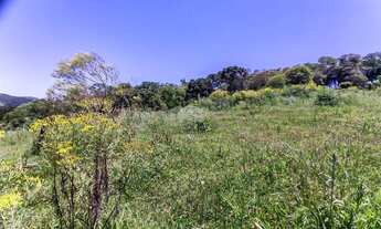 Imagem 4: Vendas Área Colombo PR