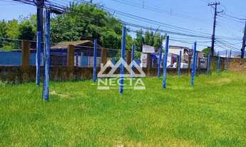 Imagem 3: Terreno para Locação no Morro do Algodão com 1.740 m² Excelente Potencial Comercial