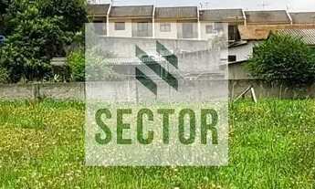 Imagem 3: Terreno Locação no centro de São José dos Pinhais