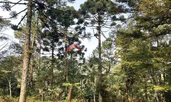 Imagem 7: Chácara em Estrada da Carapina - Vale do Carapina - São Francisco de Paula/RS