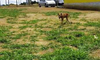 Imagem: Casa pronta 2 quarto cozinha e banheiro