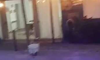 Imagem 3: Chácara disponível pra locação festa, feriados e durante semana, localizada em Barão geral