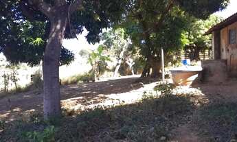 Imagem 2: CHÁCARA. À VENDA - 10.000 m² PREÇO OPORTUNIDADE