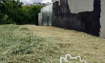 Imagem 7: OPORTUNIDADE TERRENO PLANO 125M² NA ZONA NORTE DE SÃO JOSÉ DOS CAMPOS !