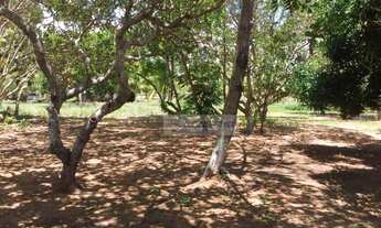 Imagem 4: CHÁCARA 15 HECTARES COMPLETA À BEIRA DO LAGO