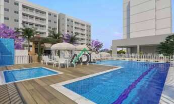 Imagem 6: Vila das Palmeiras