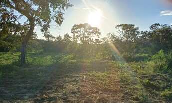 Imagem: Sítio a venda 5 hectare no monjolo