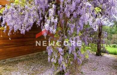 Imagem 4: Casa em Av Ximango - Colinas - São Francisco de Paula/RS