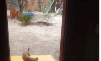 Imagem 4: Vendo casa Parque das Mangabas