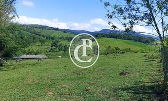 Imagem 3: Fazenda 34 Alqueires Pecuária e Agricultura à venda em Paraibuna/SP