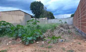 Imagem 3: Vendo lote na Rajadinha 3