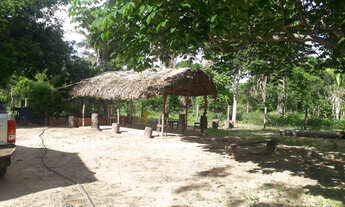 Imagem 3: Vendo chacara a 16 km de imperatriz otimo para lazer e descanso.!