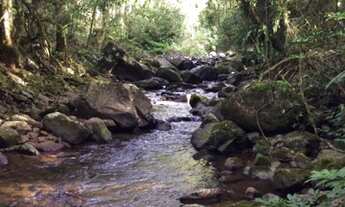 Imagem 6: Linda chácara com Rio Corrente