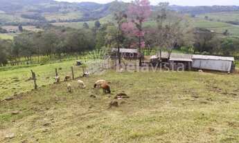 Imagem: CHÁCARA MOLHADA DE 04 ALQUEIRES, COM CASA