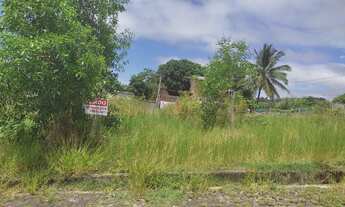 Imagem 4: Terreno Anchieta 100% regularizado