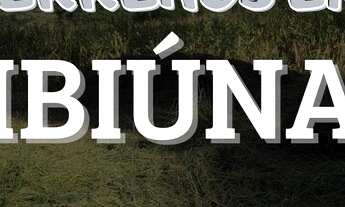 Imagem 1: Terrenos com a oferta Imperdível próximo ao Centro de Ibiúna SP