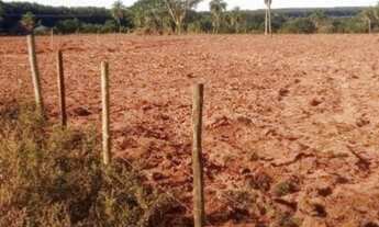 Imagem 5: Sítio de 12.5 Hectares na Região de Bálsamo