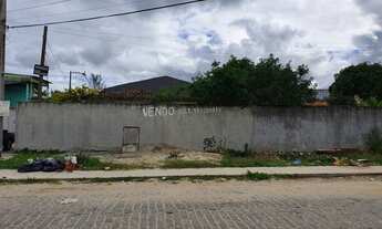 Imagem 3: Casas e terreno comercial