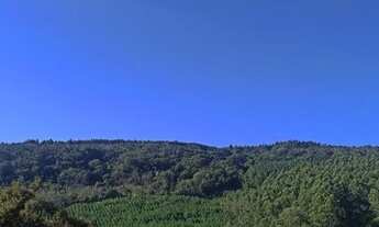 Imagem: Vendo sítios em lugar maravilhoso