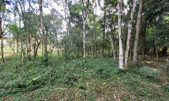 Imagem 5: Belo terreno em Campo Alegre