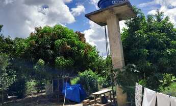 Imagem 3: Grande casa com terreno de 25 mil metros quadrados e arvores frutíferas