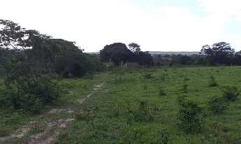 Imagem 5: Fazenda Fazenda / sítio com venda por R$1.200.000