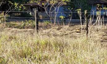 Imagem 6: Terreno após o alfavile 15x30