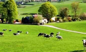 Imagem 7: 03a-Sitio/Fazenda na planta;