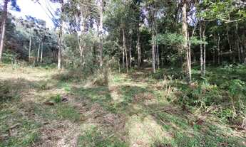 Imagem 6: Belo terreno em Campo Alegre