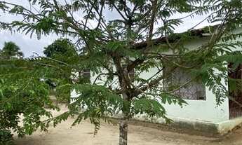 Imagem 3: Sítio em Caaporã PB às margens da PB034