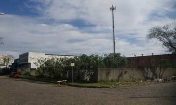 Imagem 6: PORTO ALEGRE - Terreno Padrão - Humaitá