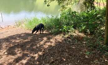 Imagem 4: Terreno com acesso