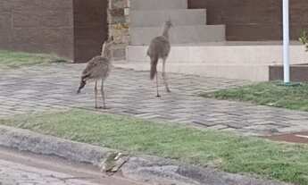 Imagem 3: Terreno Condomínio - Condomínio Reserva do Paratehy - 900m²