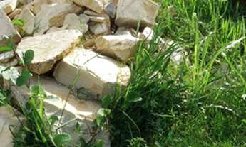 Imagem 2: Terreno no 18 do forte