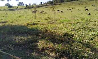 Imagem: Vendo Uma Chácara de 27.000 metros em Leopoldo