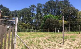 Imagem 6: Terreno Urbano Jardim do Sol Mailasqui - S.ROQUE Lote PLANO com dimensões de 12,00 X 30