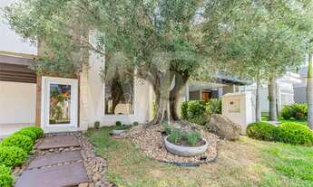 Imagem 3: Cachoeirinha - Casa Padrão - Distrito Industrial