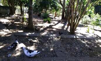 Imagem 5: Chácara em Ibiuna à venda, 2000 m² por R$ 250.000 - Centro - Ibiúna/SP