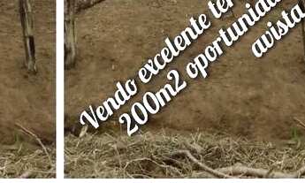 Imagem 3: Vendo excelente lote em Santo Antônio de Jesus