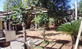 Imagem 3: Alugo Casa com salão comercial