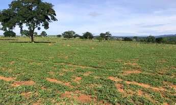 Imagem 4: Otima fazenda a venda