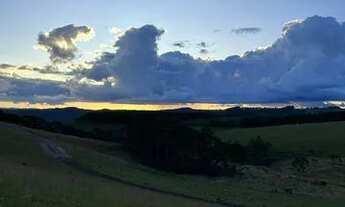 Imagem 5: Chácaras a venda / 2 hectare