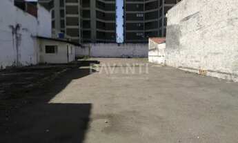 Imagem 3: área - Bosque - Campinas