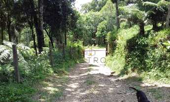 Imagem 4: Casa no bairro Eugênio Ferreira em Canela!