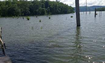 Imagem 2: Vendo chácara em Luzimanges Tocantins