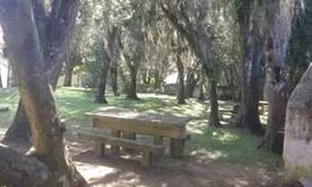 Imagem 4: Apartamento -Santa Felicidade